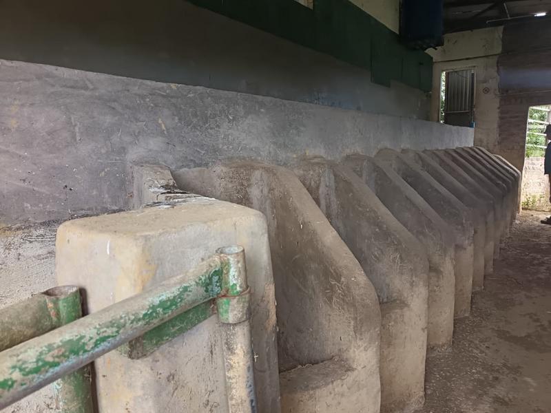 0 Bedroom Property for Sale in Albertinia Western Cape